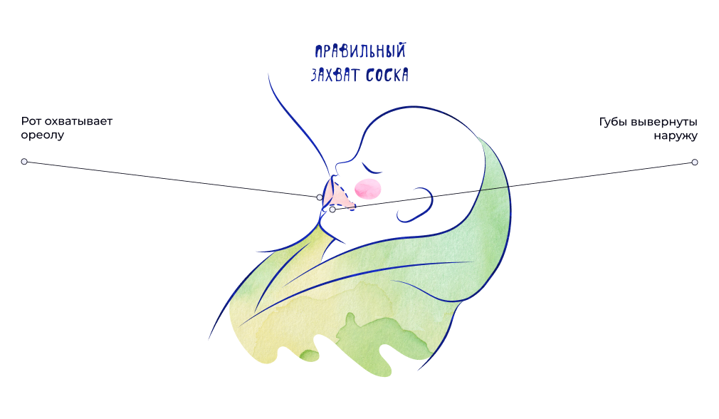 правильный захват соска.png